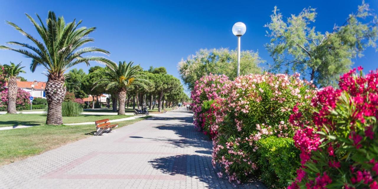 Les Pieds Dans Le Sable Apartment Argeles-sur-Mer Exterior photo